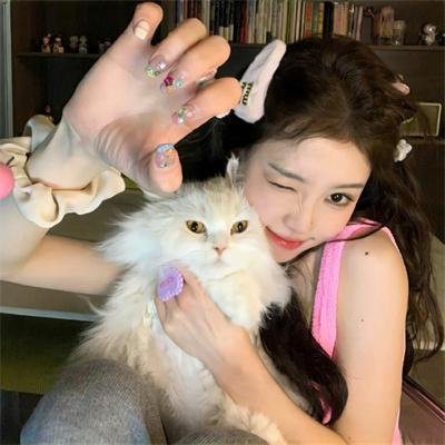 萌犬好声音4